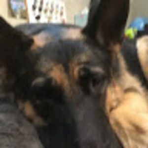 Meet your Posher, Vincent